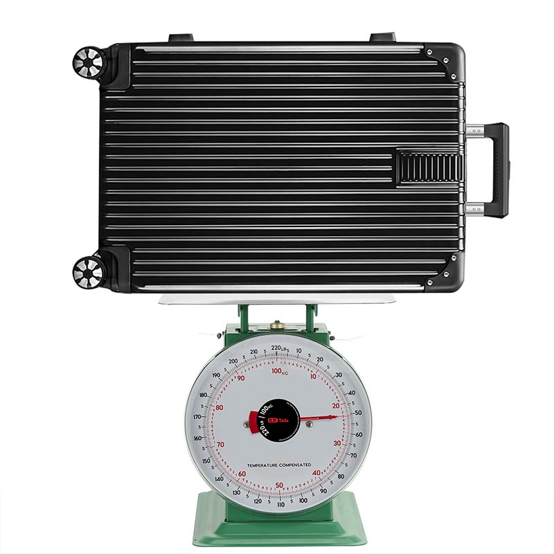 TADA 220lb/100kg Heavy Duty Mechanical Scale