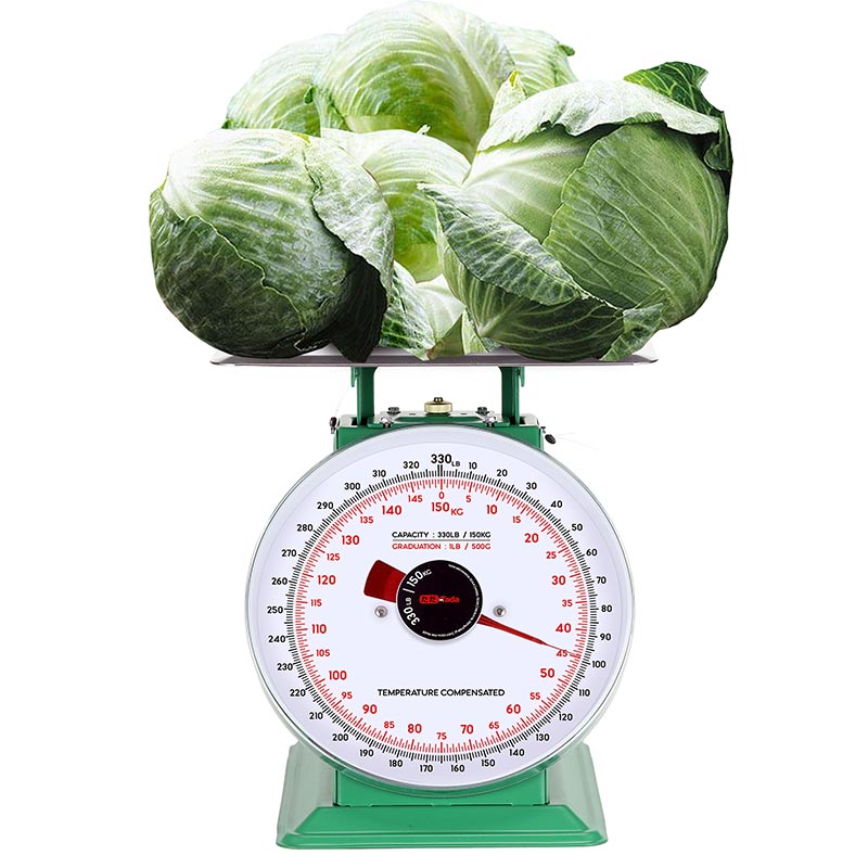 TADA 330lb/150kg Heavy Duty Mechanical Scale