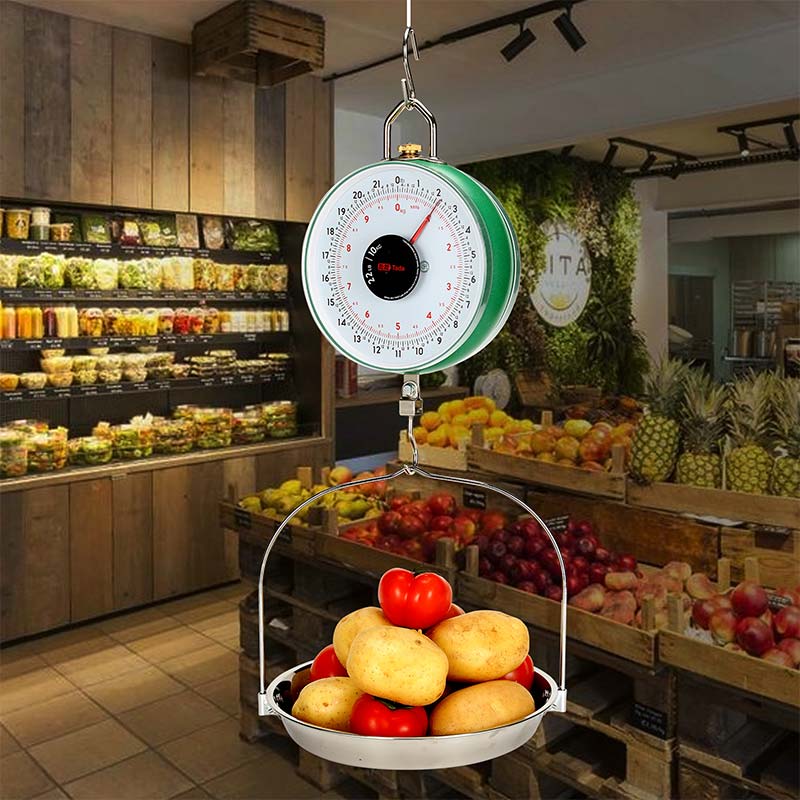 Tada 22lb/10kg Double-Sided Display Mechanical Hanging Scale