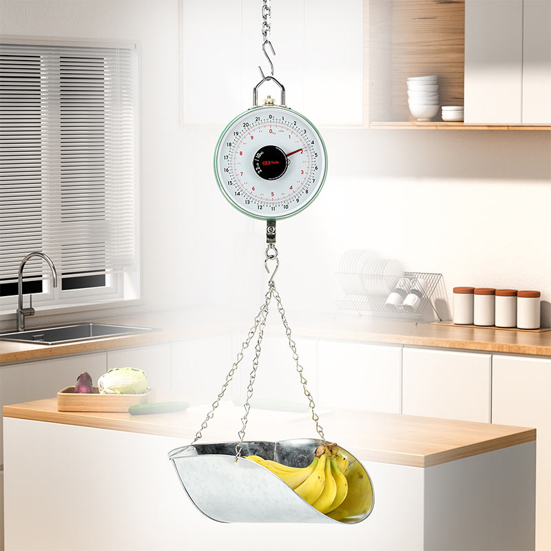TADA 22lb/10kg Double-Sided Dial Mechanical Hanging Scale